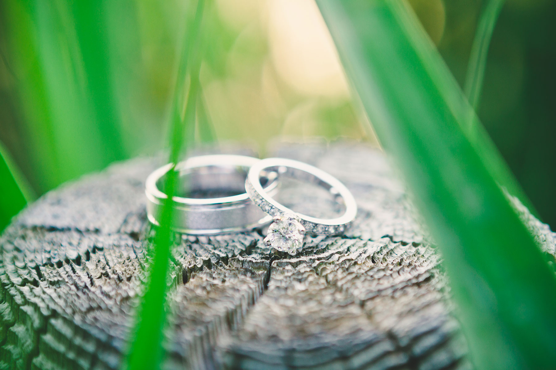Neha + Sumit